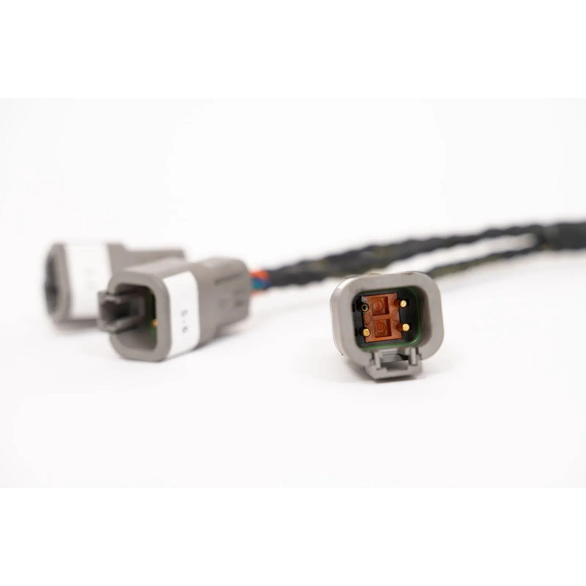 Tameless Performance Cummins Valve Cover Conversion Harness 03-05 Dodge Ram 5.9L Cummins