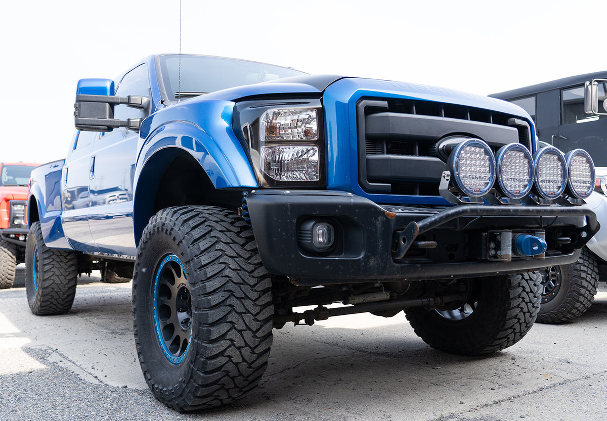 raptorsd
