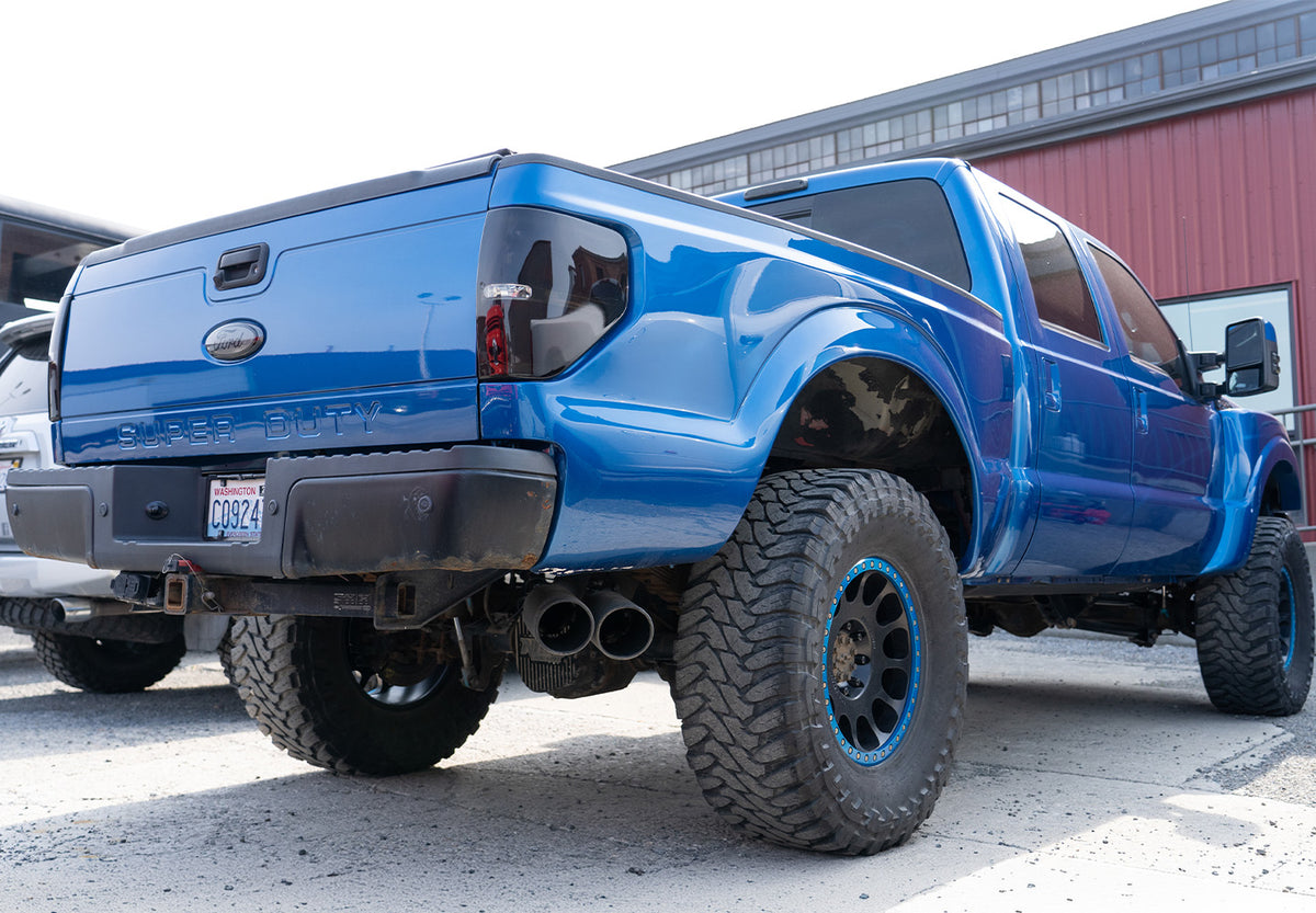 raptorsd