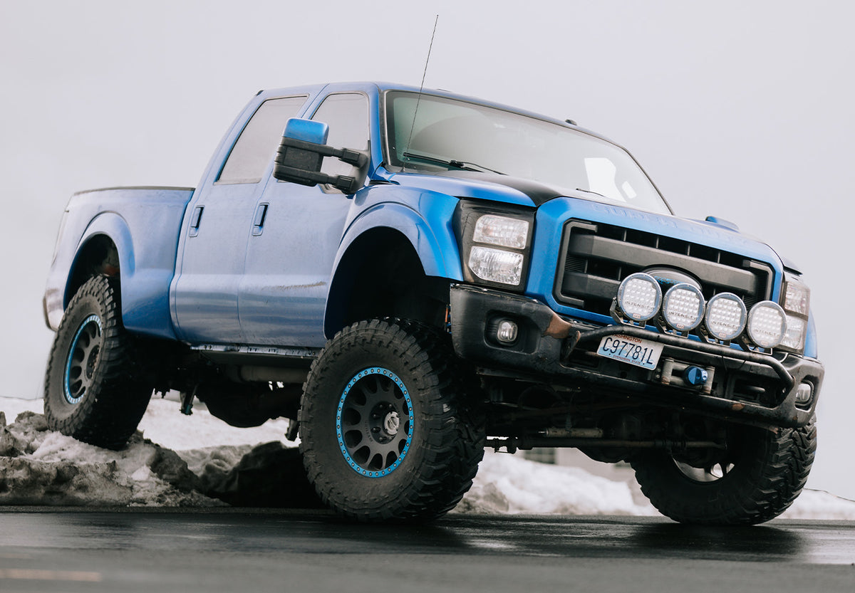 RAPTOR SD