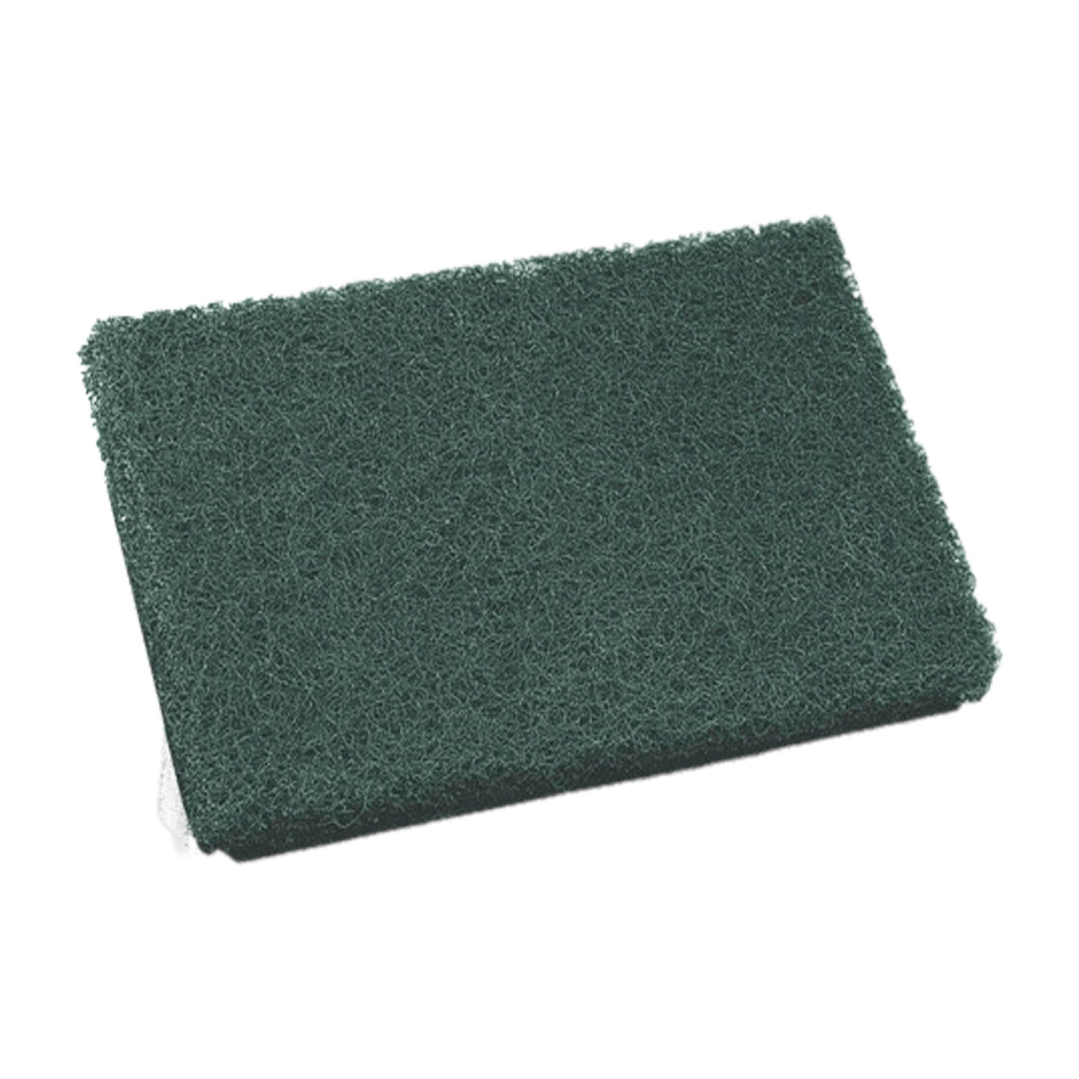 CDS Regular Duty Scouring Pads